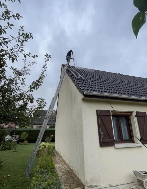 Intervention en toiture sur un pavillon